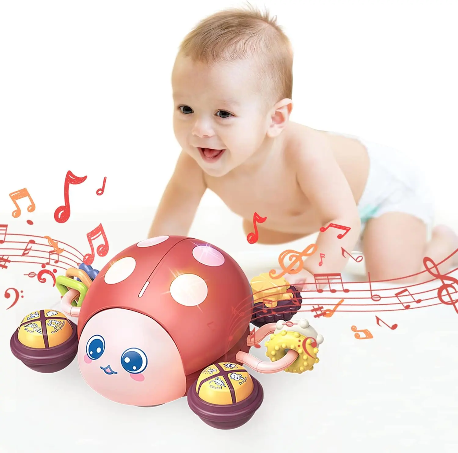 Cheap Baby Musical Toys Ladybug Crawling Infant Developmental Learning Toy Suppliers, Factory