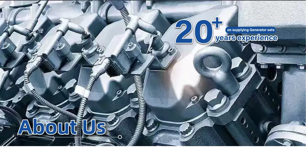 صناعة الصين توريد OEM نوع صامت 250kw مجموعة مولدات ديزل ويشاي