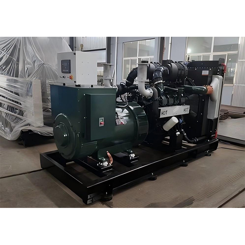 20kVA مجموعة مولدات الطاقة السكنية ذات الجودة العالية من دوسان مع غلاف مقاوم للماء للمراقبة عن بُعد وتشغيل مستمر