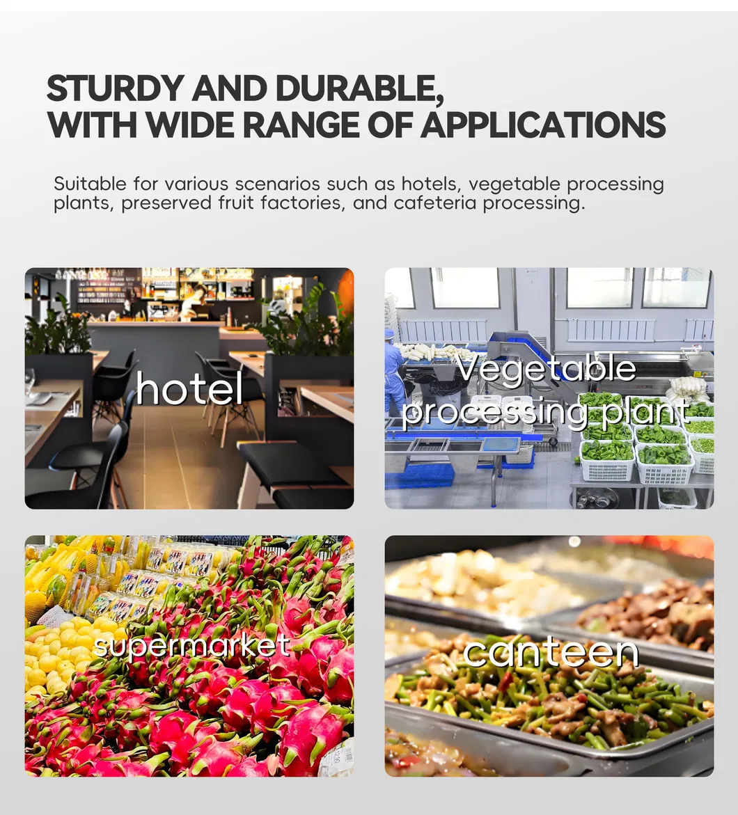 Vegetable Cleaning Line 9