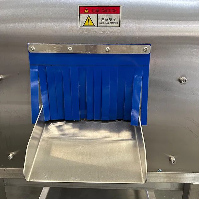 Fish Descaling Equipment 1