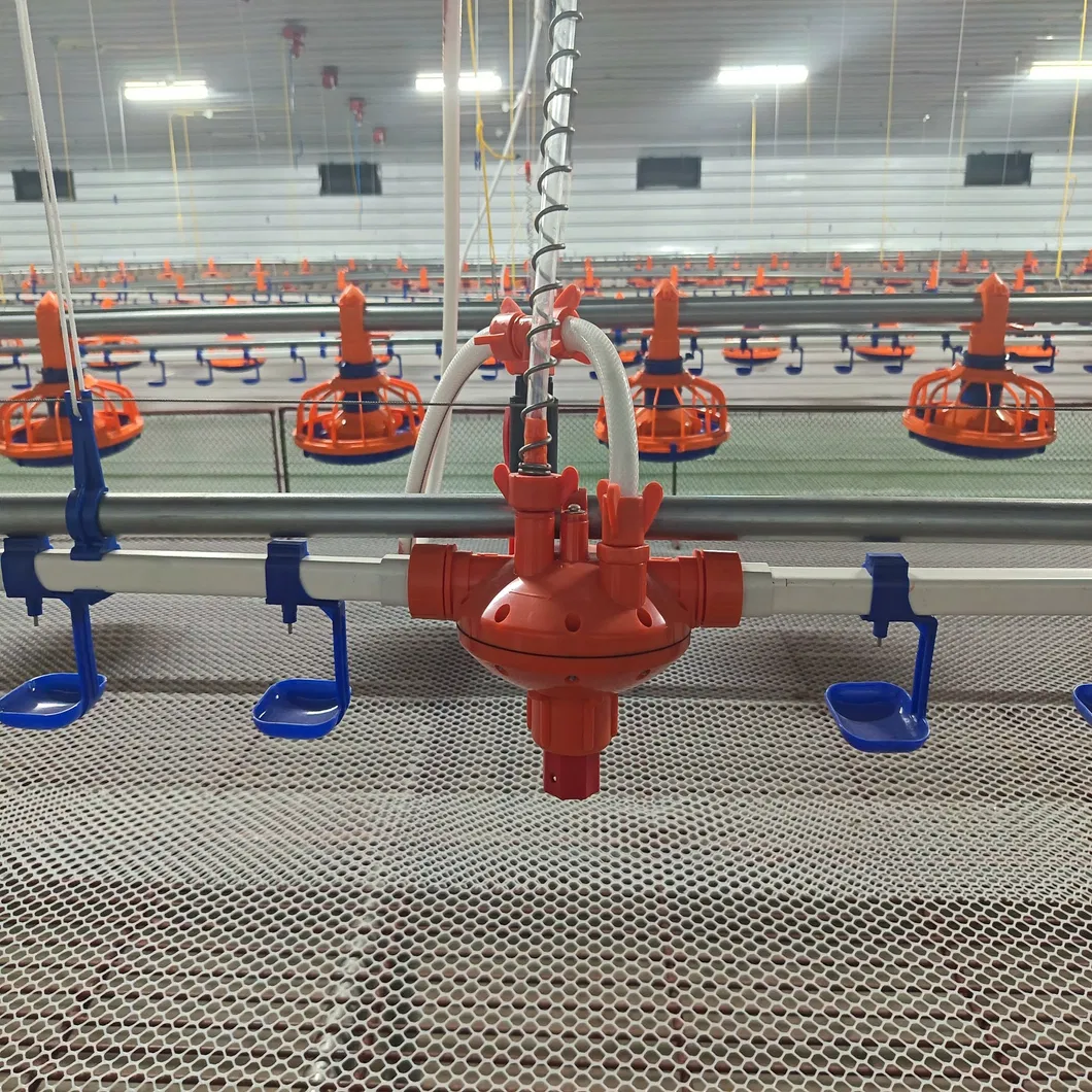 Poultry Water Line Equipment 3