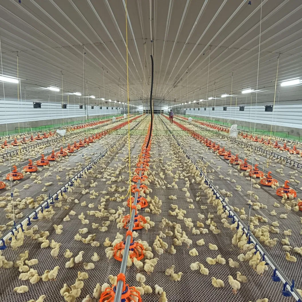 Fully Automated Water Line Equipment with Pressure Regulator and Self-Cleaning Functions for Poultry Farms