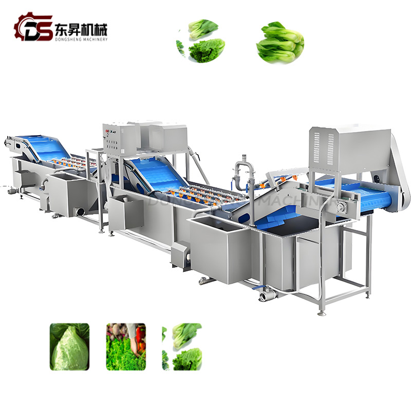 Heavy Duty Sanitary Equipment with Precision Sprayers for Industrial Veg Plants Vegetable Nondestructive Cleaning Line