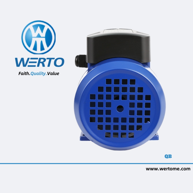 High Pressure Qb50 Booster Cast Iron Electric Water Pump Irrigation System