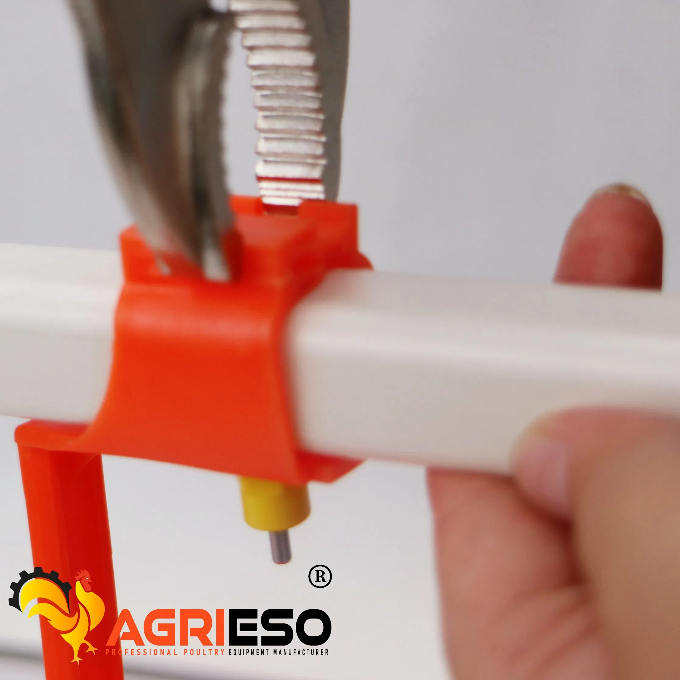 Agrieso Pipe-Mounted 4 Nipples Per Meter Flushing Broiler Automatic Nipple Drinking System with PVC Pipe and Water Level Regulator