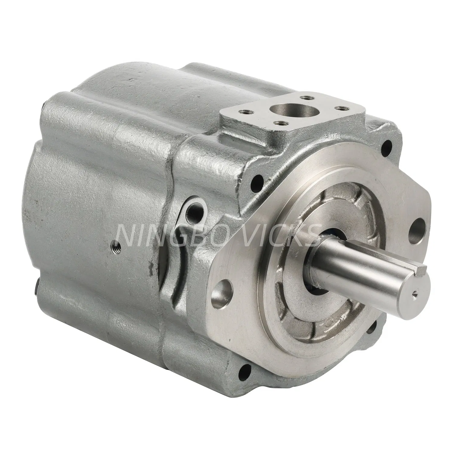 Albert High Pressure Hydraulic Servo Vane Pump for Injection-Molding-Machine Servo System with Phase Servo Motor and Taiwan Delta Servo Driver