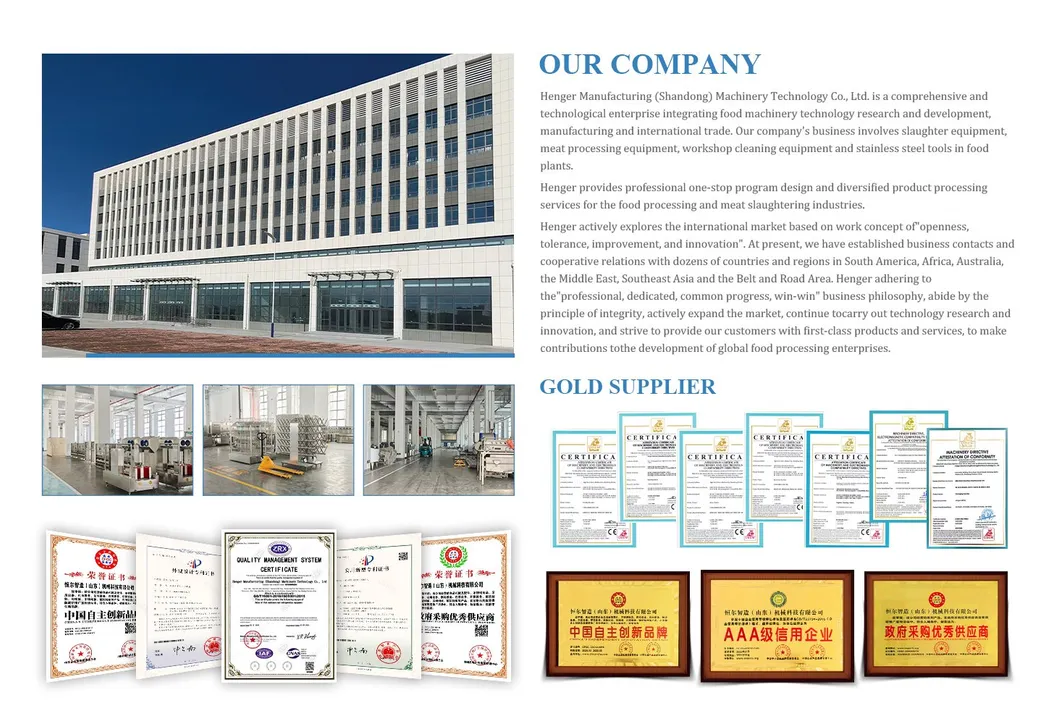 Company overview