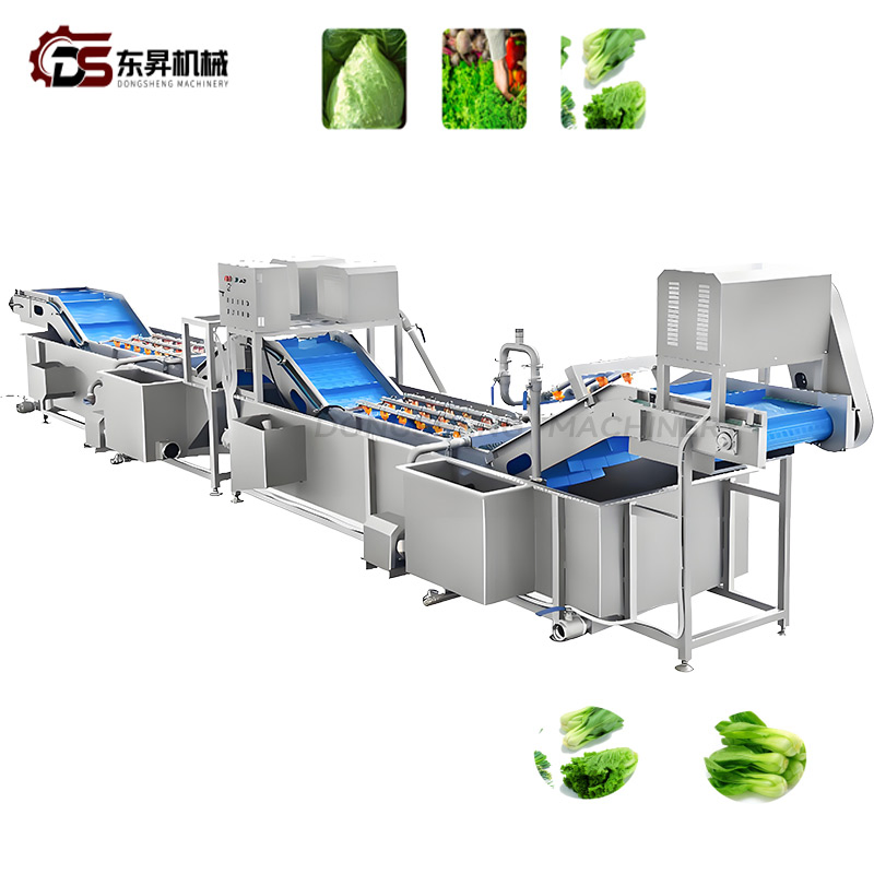 Heavy Duty Sanitary Equipment with Precision Sprayers for Industrial Veg Plants Vegetable Nondestructive Cleaning Line