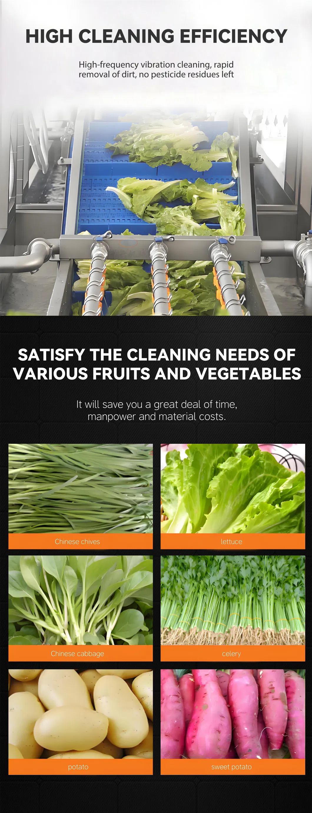 Vegetable Cleaning Line 5