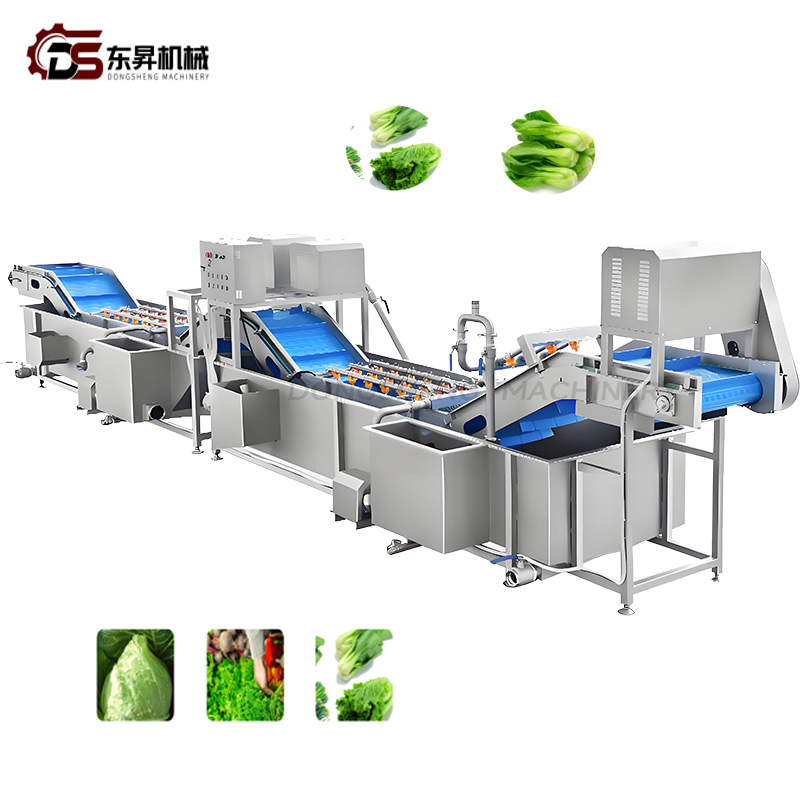 Heavy Duty Sanitary Equipment with Precision Sprayers for Industrial Veg Plants Vegetable Nondestructive Cleaning Line