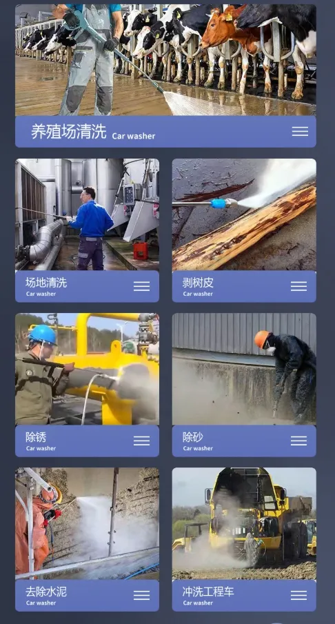 Cleaning Performance