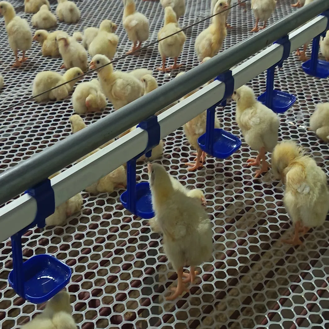 Poultry Water Line Equipment 2