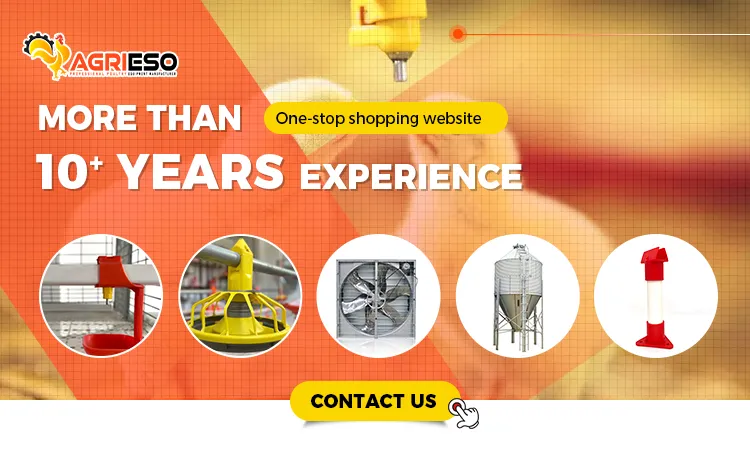 Automatic Nipple Drinking System