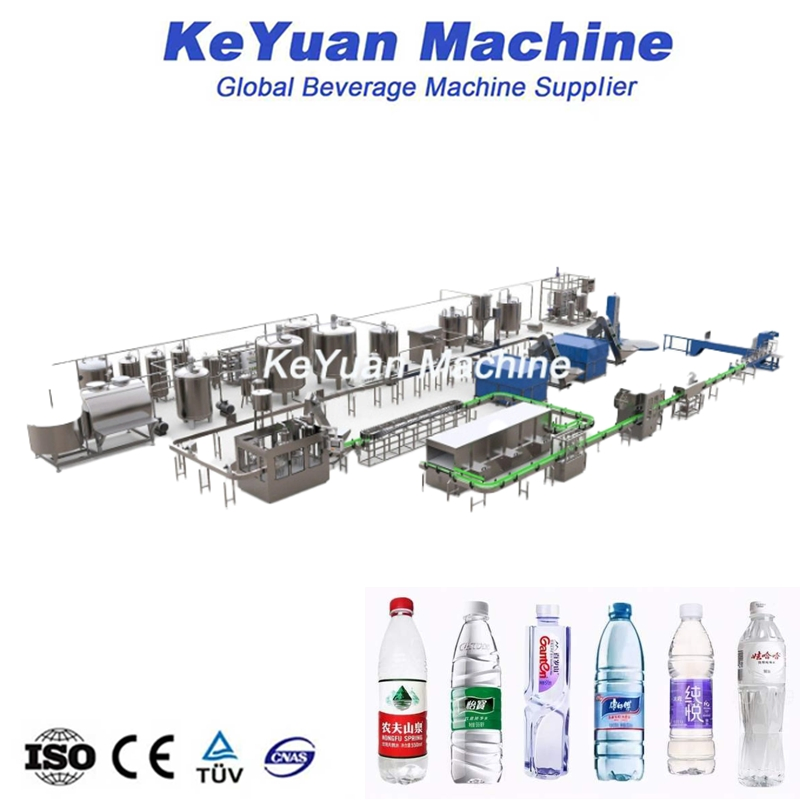 Precision Automatic 4t/H SUS304 RO System with Safety Valve (Mineral Water)