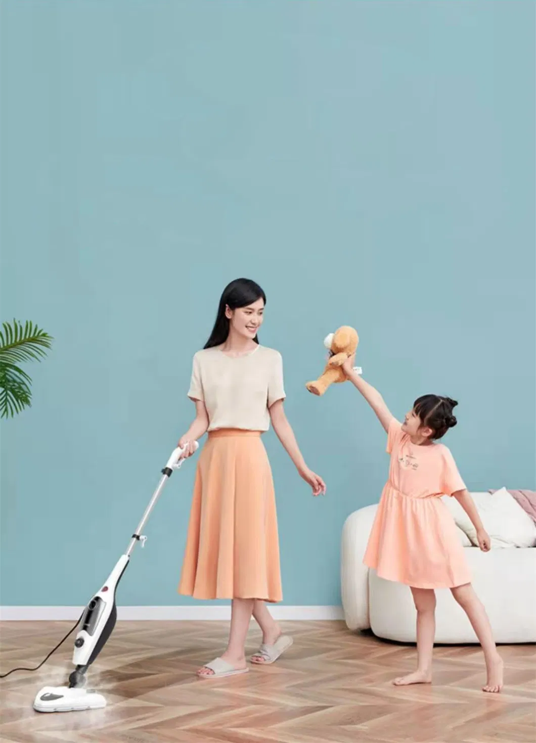 Steam Mop Application 3
