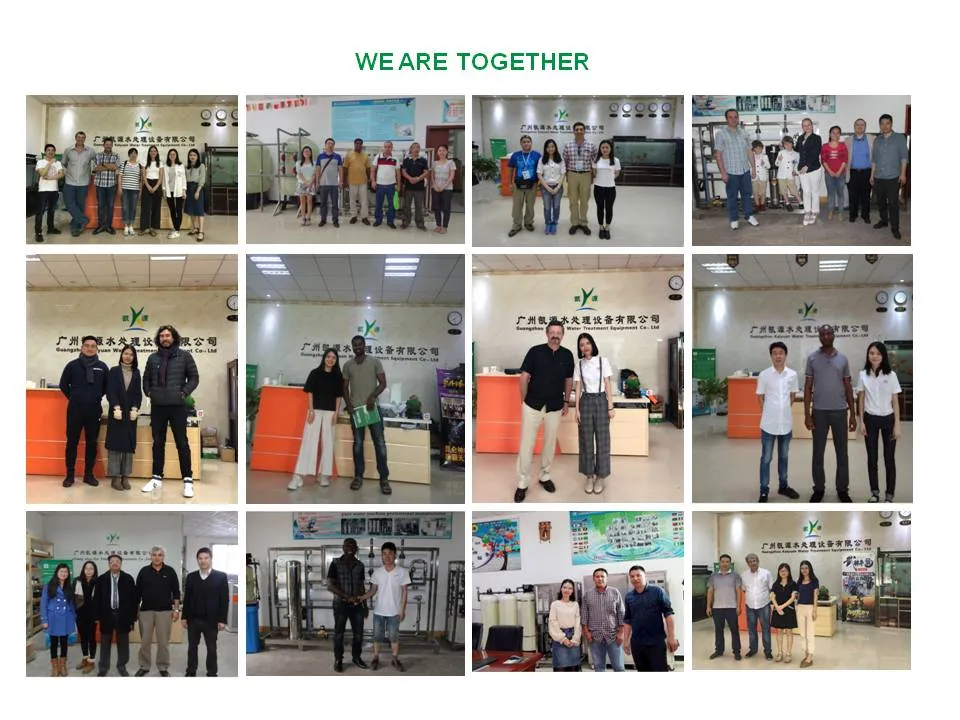 International Projects