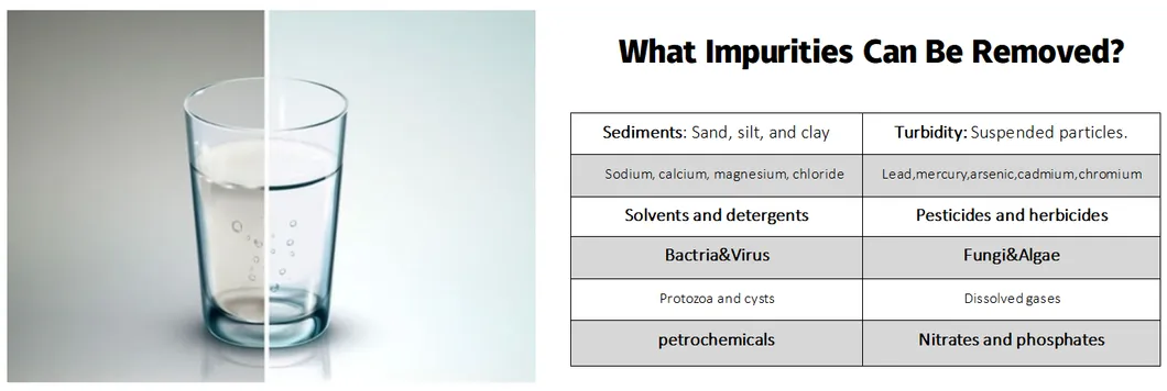 Purification Analysis