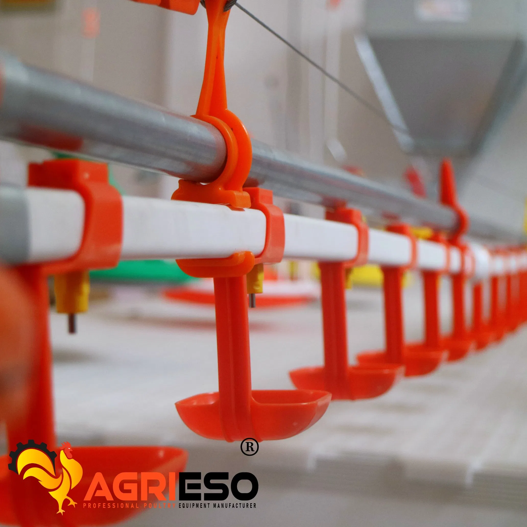 Agrieso Pipe-Mounted 4 Nipples Per Meter Flushing Broiler Automatic Nipple Drinking System with PVC Pipe and Water Level Regulator