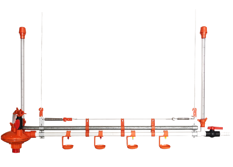 High-Quality Poultry Drinking System for Chickens, CE and ISO 45001 Certified