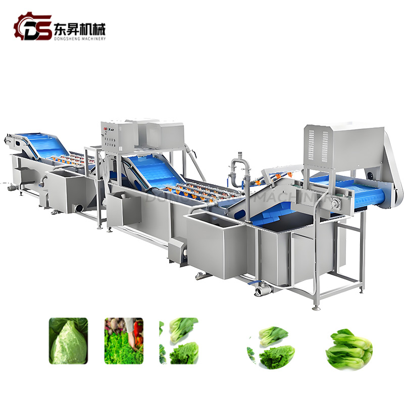 Heavy Duty Sanitary Equipment with Precision Sprayers for Industrial Veg Plants Vegetable Nondestructive Cleaning Line