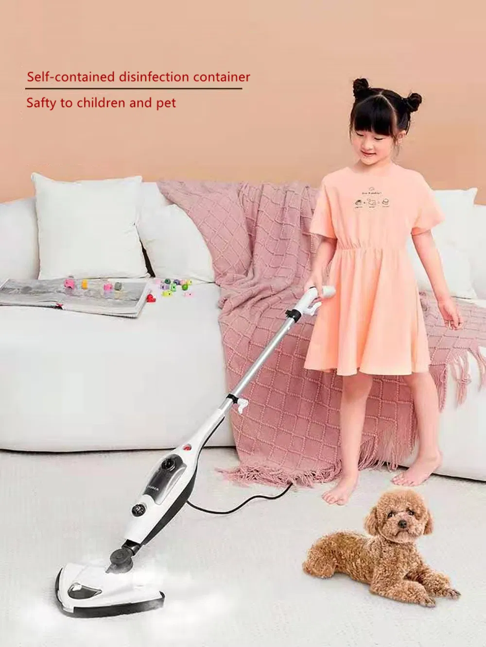 Steam Mop Application 1