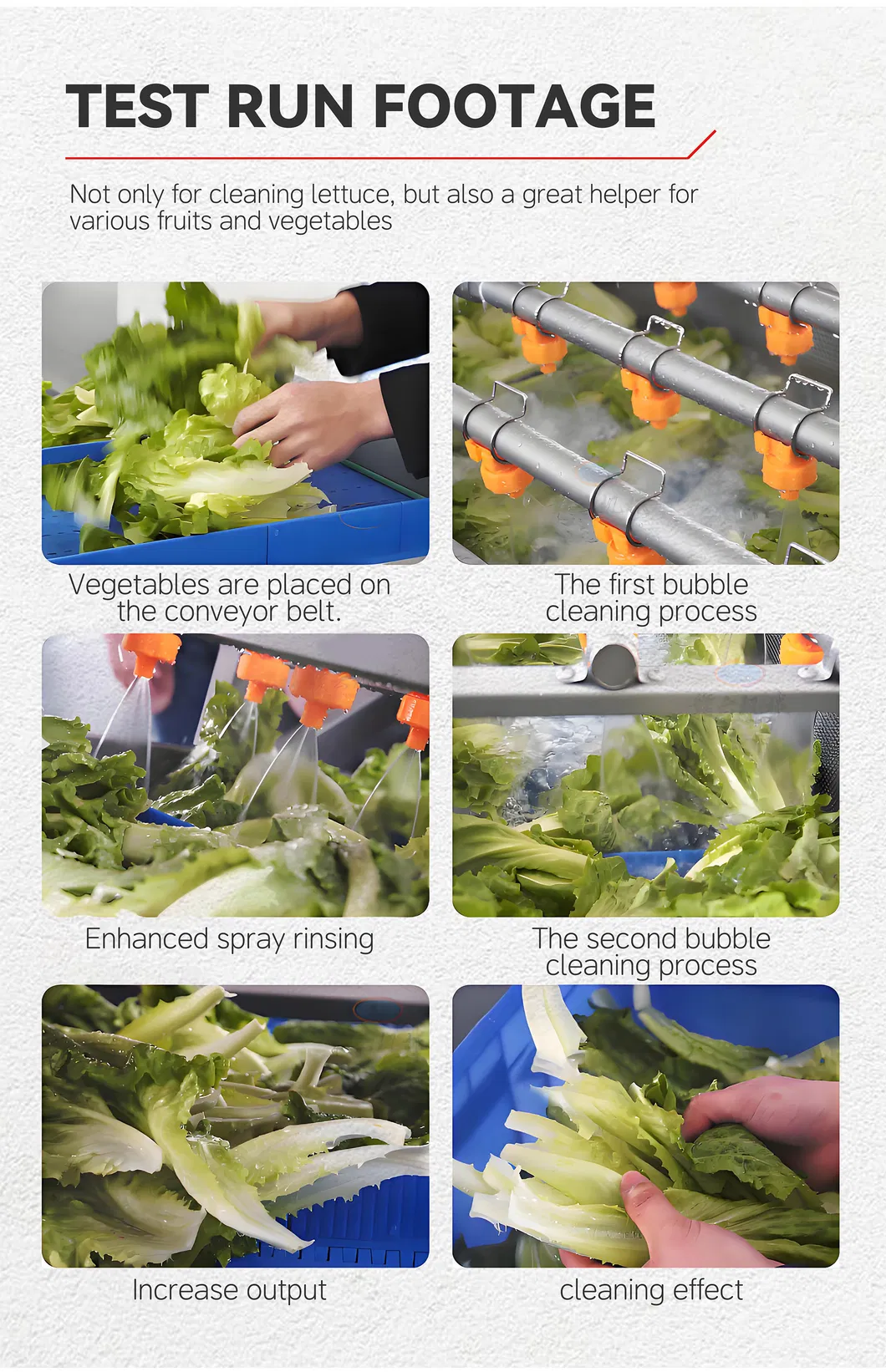 Vegetable Cleaning Line 4