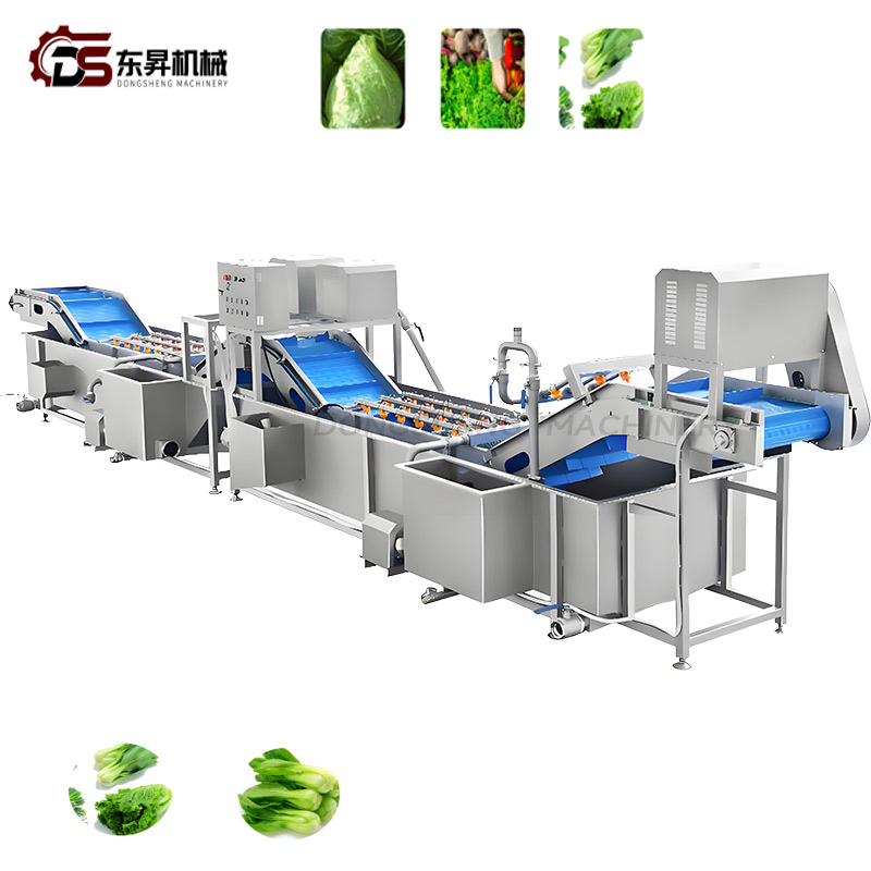 Heavy Duty Sanitary Equipment with Precision Sprayers for Industrial Veg Plants Vegetable Nondestructive Cleaning Line