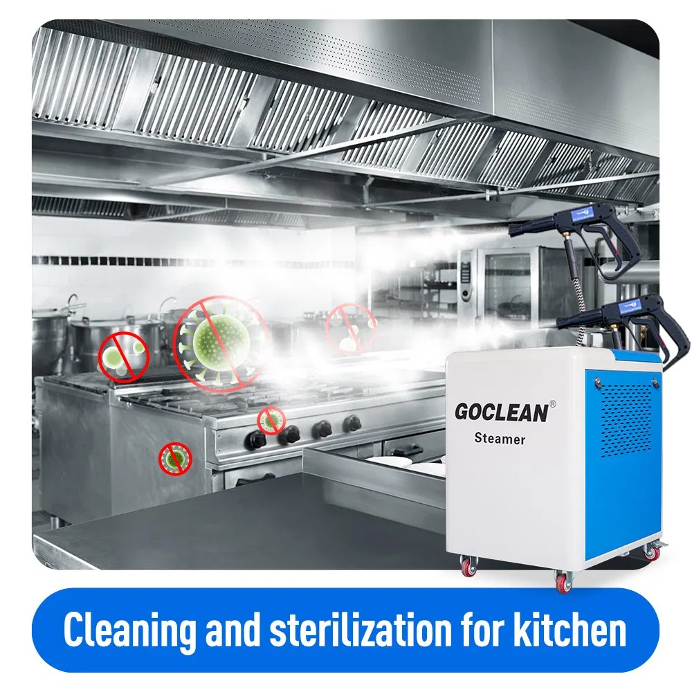 Multi-Function Steam Cleaning Machine, High Temperature and High Pressure Steam Disinfection Equipment