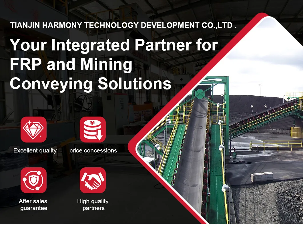 Mining Conveyor System