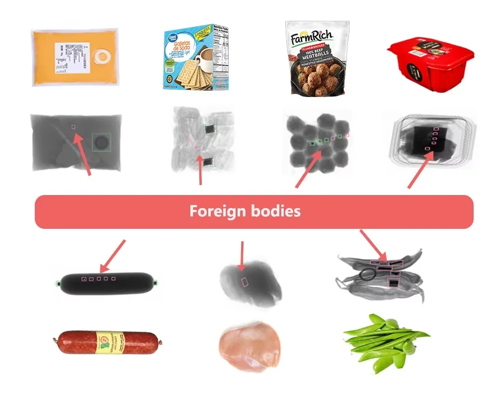 Foreign Objects Detection