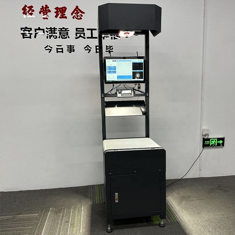 Custom Static Dws Box Parcel Dimensioning Checking Code Scanning and Weighing Measure Conveyor System