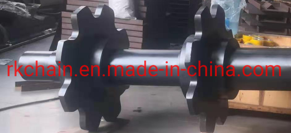 Shaft Drive Roller Chain Conveyor for Industrial Equipment