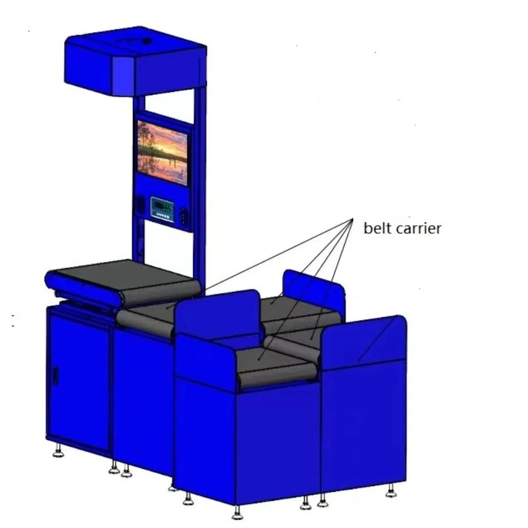 Optimize Parcel Conveyor Systems with The High-Performance Zigzag Sorter for Warehousing