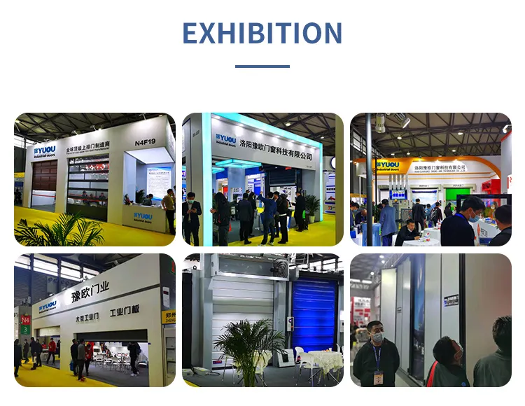 Dock Seal Real Shot 5