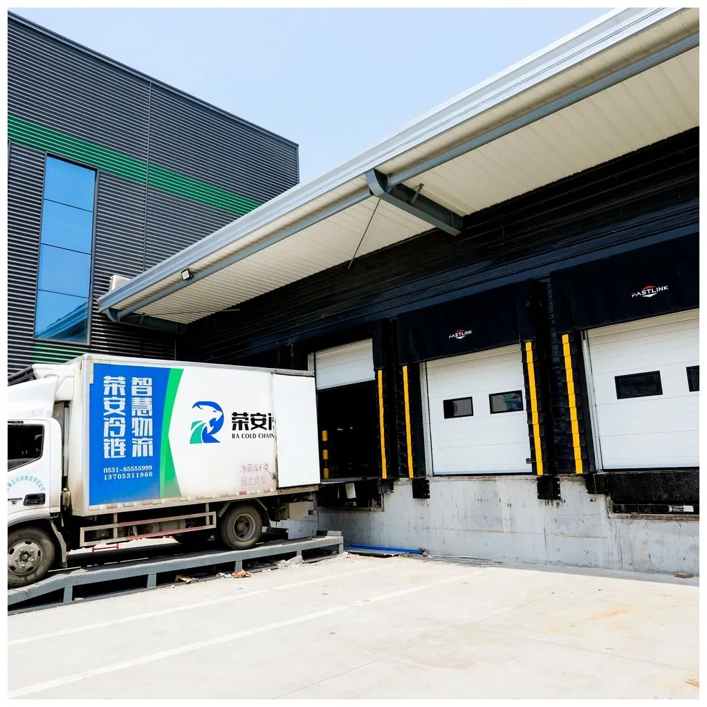 Fastlink Entrance Customized PVC Fabric Hot Cost-Effective Automatic Industrial Loading Sponge Dock Door Seals