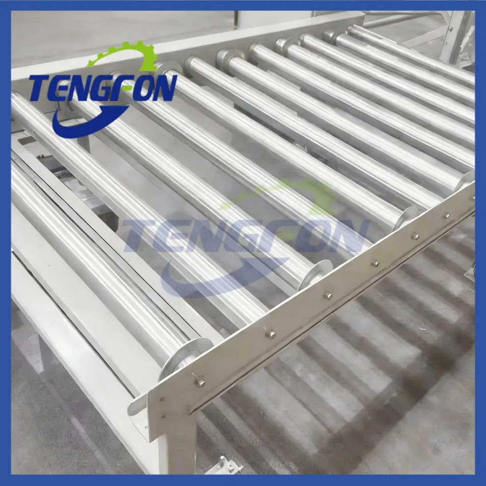 Roller Conveyor View