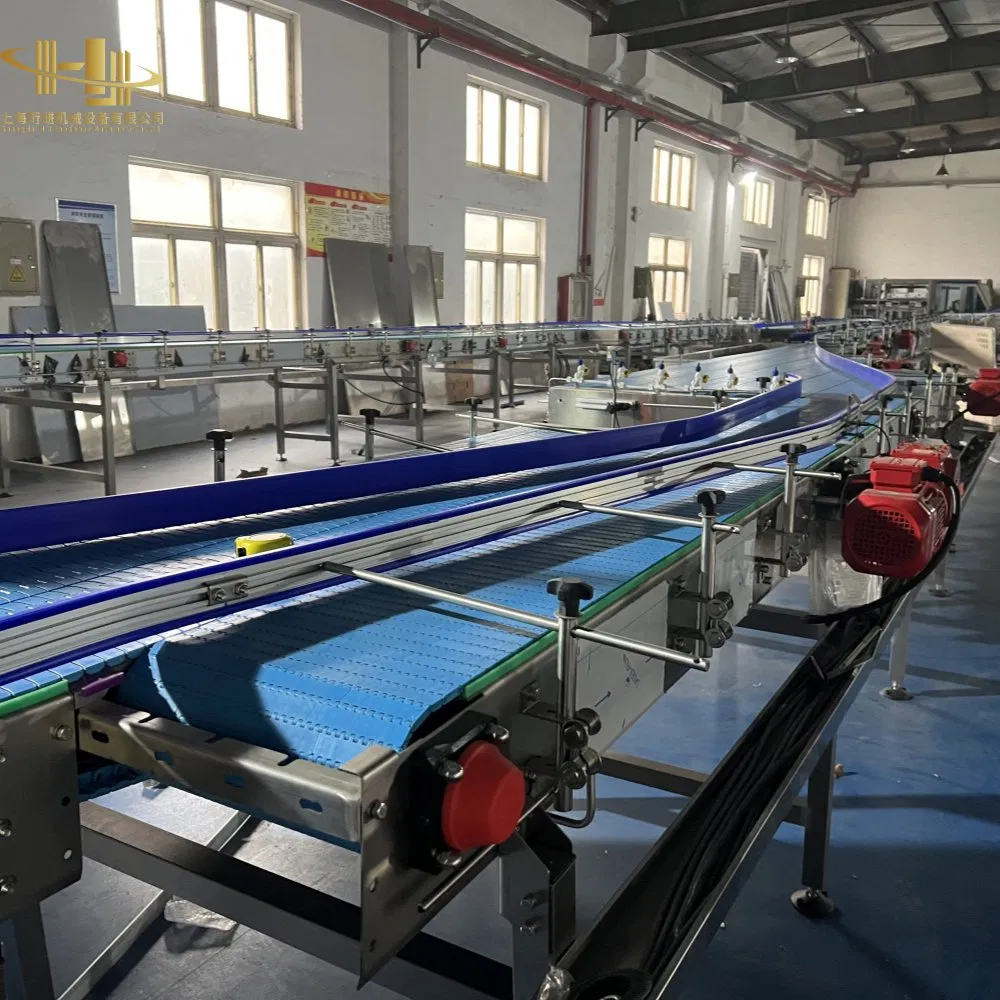Conveyor Line Beverage Packing Filling Conveying Line Bottle Water Conveyer System