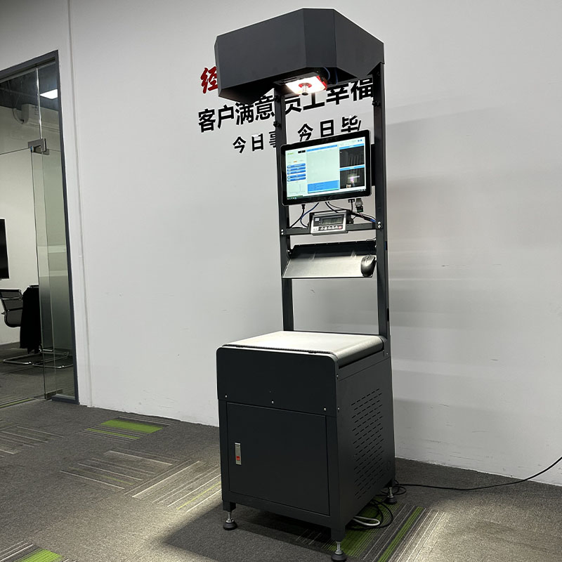 Customize OEM ODM Weight Sorting Machine Belt Static DWS Dimension Weight Scanning Sorter Industry Conveyor System