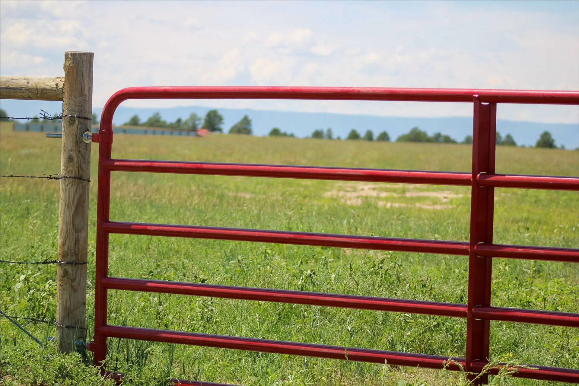Heavy-Duty Livestock Gate
