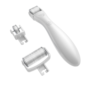 2022 Newest Electric LED Therapy Light Handheld Derma Roller with 3 Heads Stainless Steel Needles for Face USB Plug Type