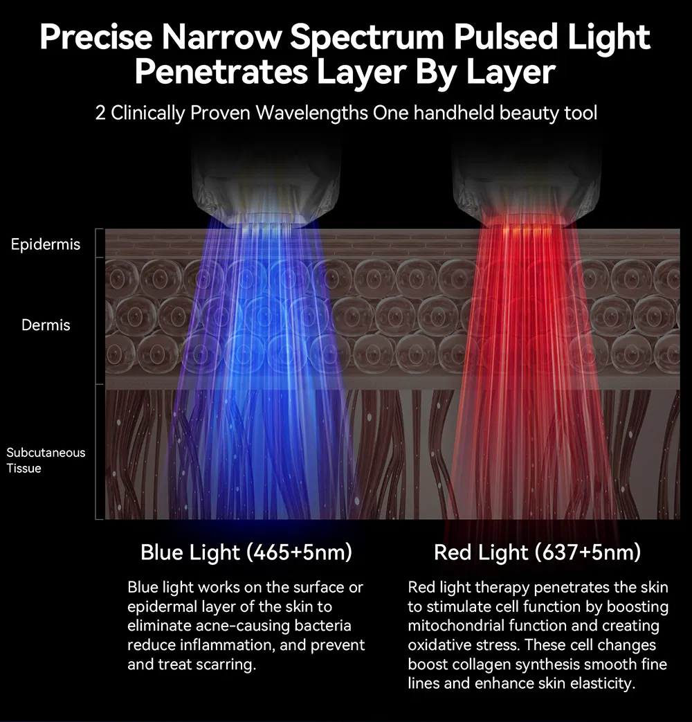 LED Therapy