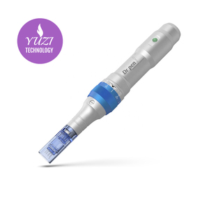 1G18 Derma Rolling System Professional DR-A6 dermapen electric derma pen for wrinkle removal