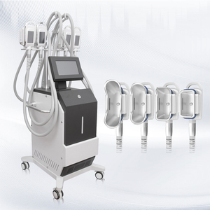 OEM/ODM Vertical Cool Body Sculpting Slimming Equipment Vacuum Cavitation System Fat Freezing Cryolipolysis Machine