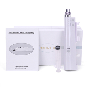 2 1 Electric Auto Micro Needling Derma Pen for Scar Removal Wrinkle Remover Whitening Body Use US Plug Stainless Steel Needles