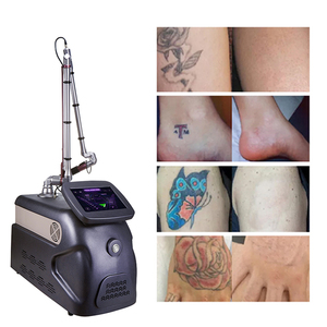 Stainless Steel Picosecond Laser Machine Pen with Diode Laser Portable 2in1 OEM Brand Model XOM-PM001 Latest Model
