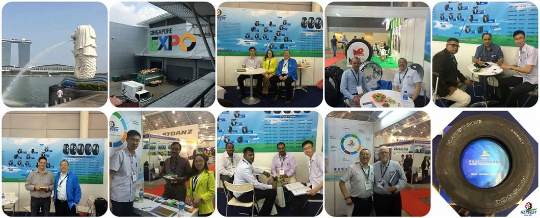 Tire Exhibitions Display