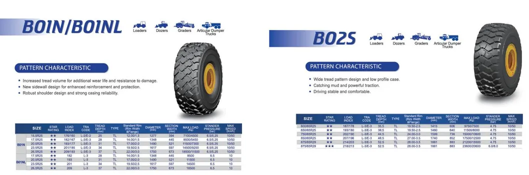 Detailed Tire View 1