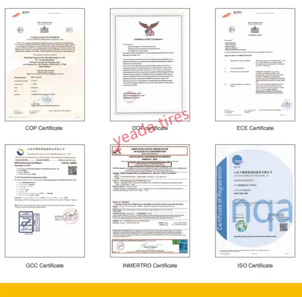 Certificates Display