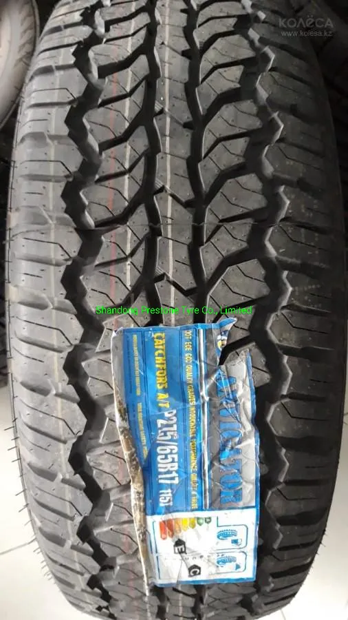 Radial Car Tires 4